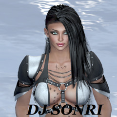 DJ SONRI MIX~Out The Speakers VS The Tiger