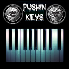 CURIOUS - PUSHIN KEYZ - Trackitdown #1
