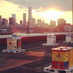 Brooklyn