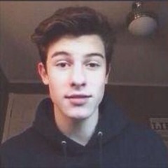 Shawn Mendes - Life of the party (cover)