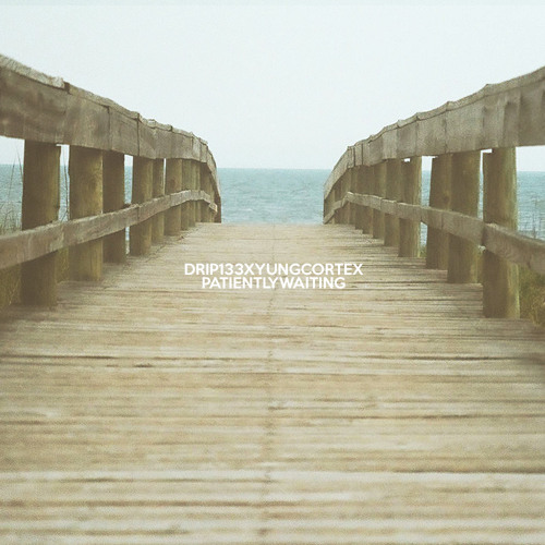 patiently waiting w/ drip 133