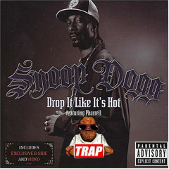Snoop Dog - Drop It Like It's Hot (IT'S A TRAP!!! Remix)