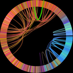 The Infinite Mixtape (Official)