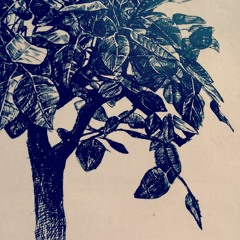 Melbourne australia artists