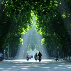Liên khúc mưa