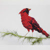 redbird-rascal