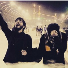 أين الطالب بدم المقتول بكربلا بصوت القارئ حسين جعفر