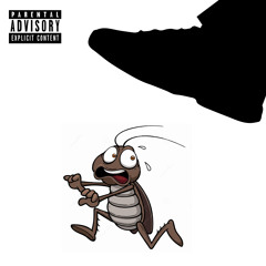 Roaches