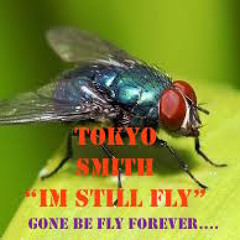 TOKYOSMITH: IM STILL FLY