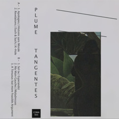 Plume - A Tenuous but more Feasible Argument