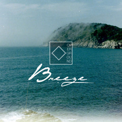 Breeze | THIS SONG HAS NOTHING TO DO WITH OUR TASTE