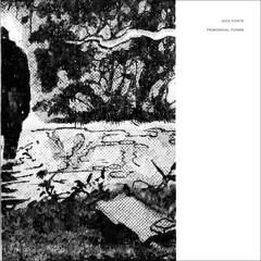 NICK FORTÉ  - Imperfect Birth