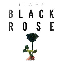 Thoms - Black Rose