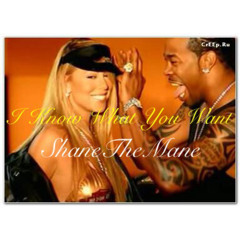 ShaneTheMane - I Know What You Want