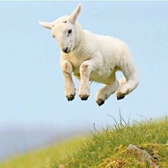 Sphygmomanometer (after Warren Burt)