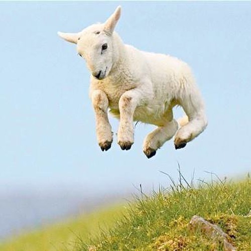 Sphygmomanometer (after Warren Burt)