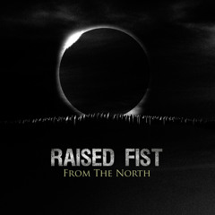 raised fist from the north