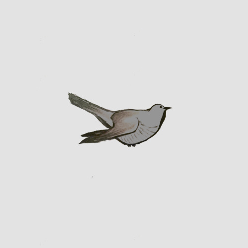 Sifting (Nirvana cover)