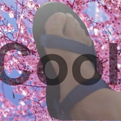 The Cherry Blossom