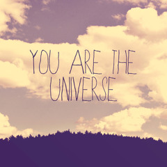 You Are The Universe