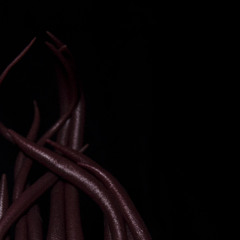 greifen und lassen (feat. ScienceMusic)