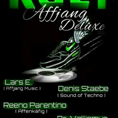 Affjang Deluxe v3. WIR GEH´N ZUM RAVEN IN DEN KELLER (Kult Düren 11.04.15)