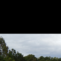 Place ~ A Lucid Ass Nightmare (Interlude)