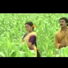 Aathangara Rumors [3D]