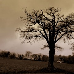 JENKOS SOTE - Te Extraño (Over Chulapo)