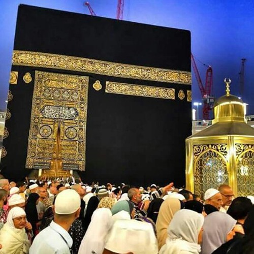 دعاء نادر الشيخ محمد البراك