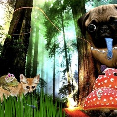 WonkaLand LM WarmUpSet  Part1@ Steel Yard London