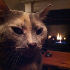 Penelope's Epic Banana Box of Magic and Wonder