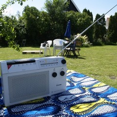 Summervibes