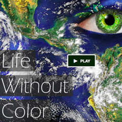 Life without Color - Documentary by Robb Jacobson