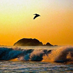 Oceans-Coldplay (Instrumental Cover)