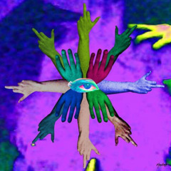 To Egg or not to Roll