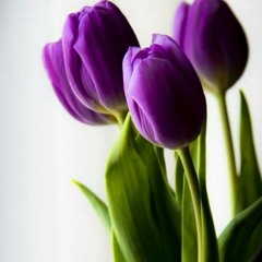 01. Prajna Paramita Heart Sutra - Nhạc Thiền Tĩnh Tâm