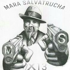 EL TC - MS13 503 RAP