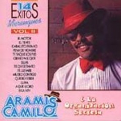 (Merengue Clásico) Aramis Camilo y su Organización Secreta - El Tente