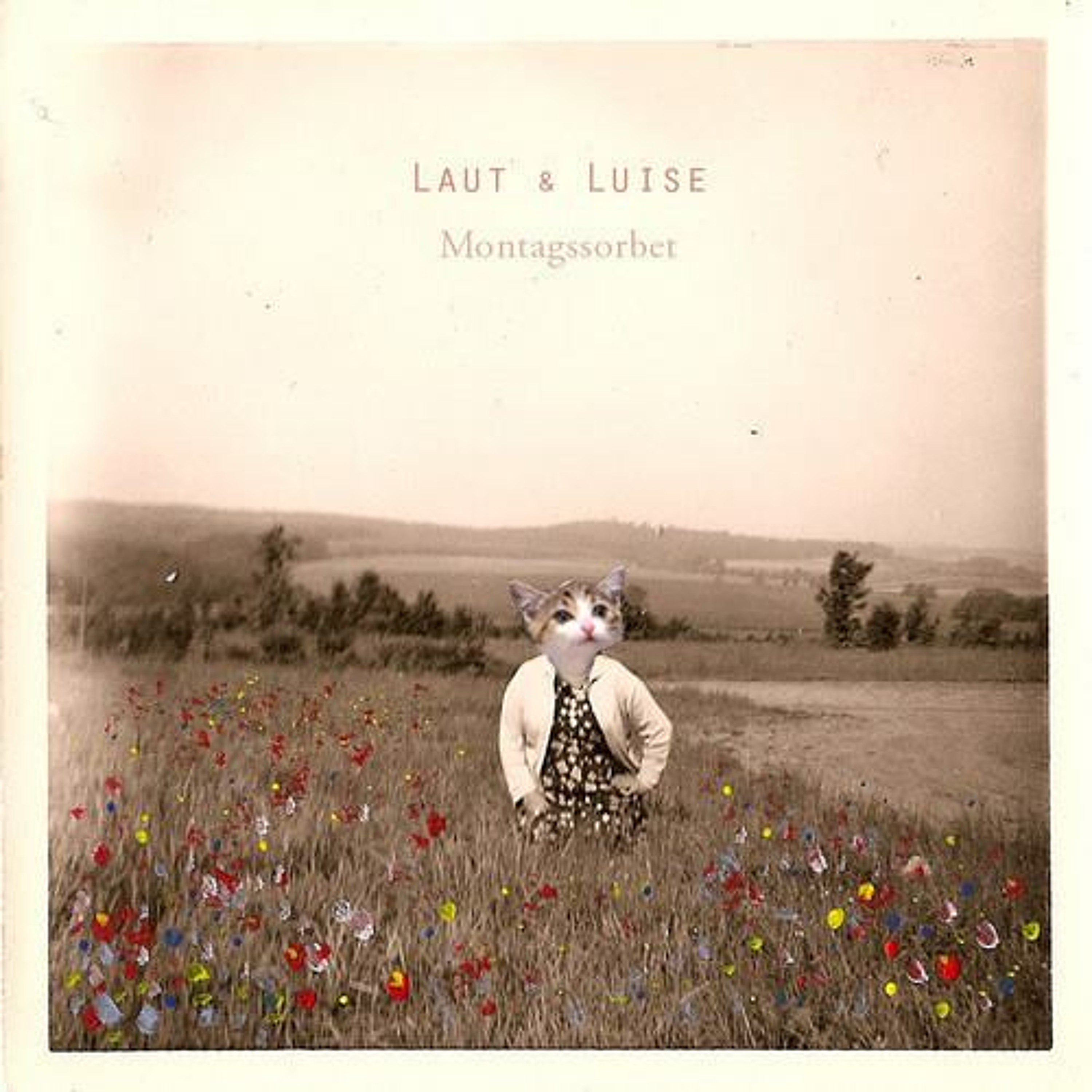 Montagssorbet mit Laut & Luise