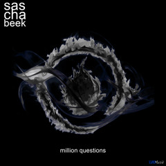 Sascha Beek ft. Cory Friesenhan  - Million Questions (Roman Beise Remix)