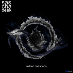 Sascha Beek ft. Cory Friesenhan - Million Questions
