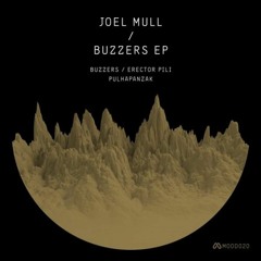 Joel Mull - Erector Pili (Original Mix)