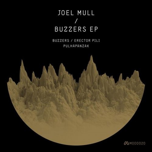Joel Mull - Erector Pili (Original Mix)