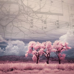 Synth Spring