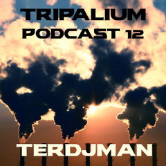 Tripalium Podcast 12 - Terdjman