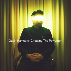 Gavin Harrison - Hatesong/Halo - (From Cheating the Polygraph)