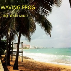 Waving Frog - Free Your Mind