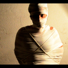 virgin suicide bomber