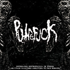 Putrefuck - Ablation Sickness
